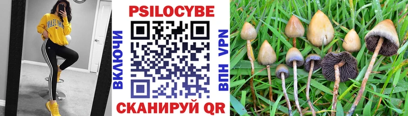Псилоцибиновые грибы MAGIC MUSHROOMS  Красавино 